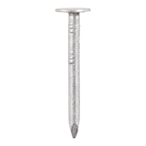 Clout Nails - Galvanised - 25 x 2.65