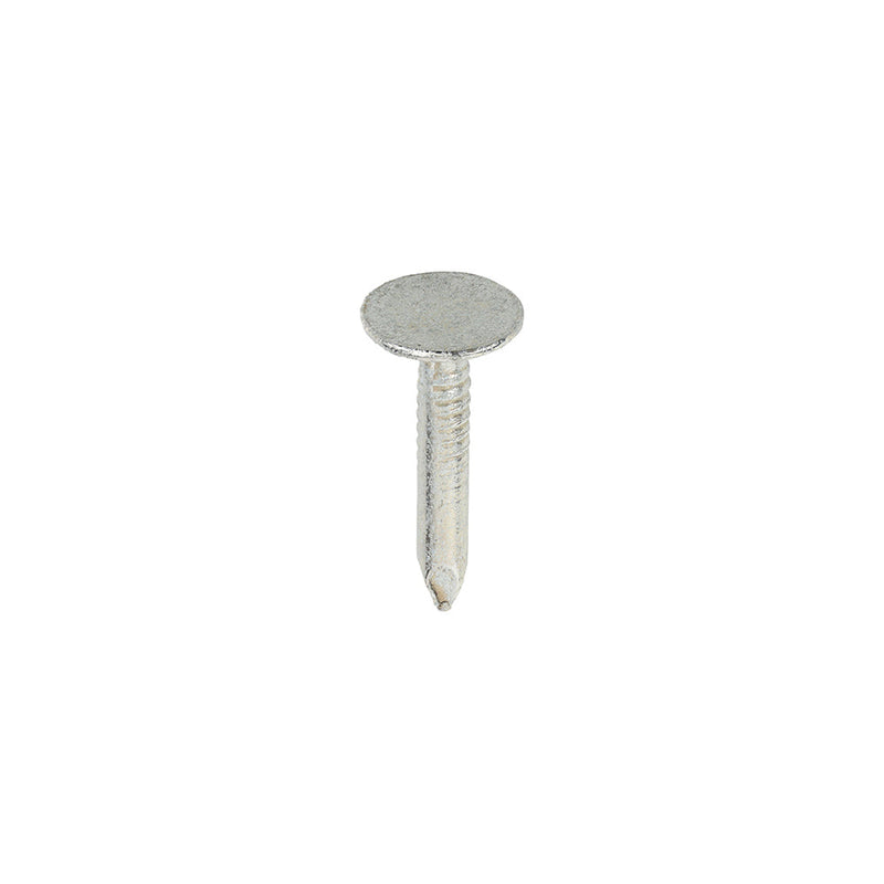 Extra Large Head Clout Nails - Galvanised - 20 x 3.00