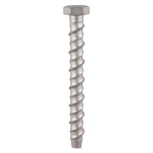 Masonry Bolts - Hex - Exterior - Silver - 10.0 x 75