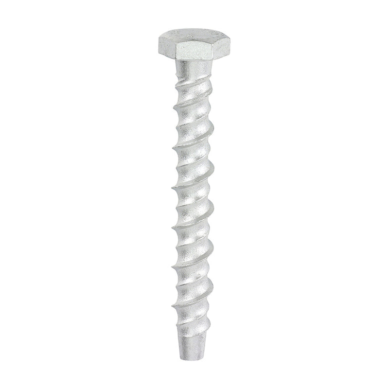 Multi-Fix Masonry Bolts - Hex - Exterior - Silver - 8.0 x 75