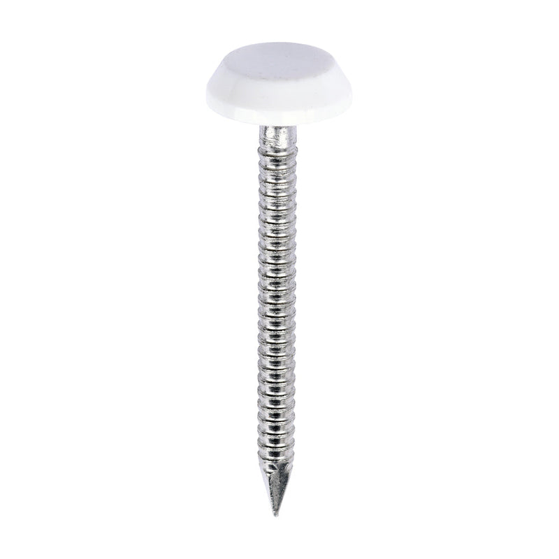 Polymer Headed Nails - A4 Stainless Steel - White - 40mm