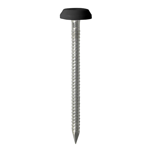 Polymer Headed Pins - Stainless Steel - Black - 50mm