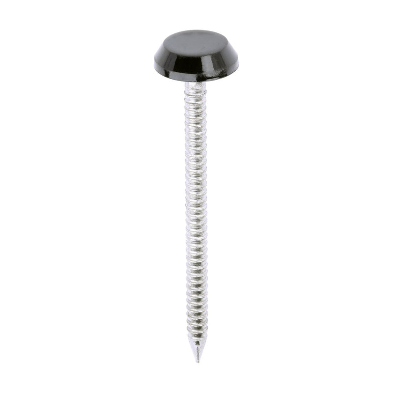Polymer Headed Nails - A4 Stainless Steel - Black - 50mm