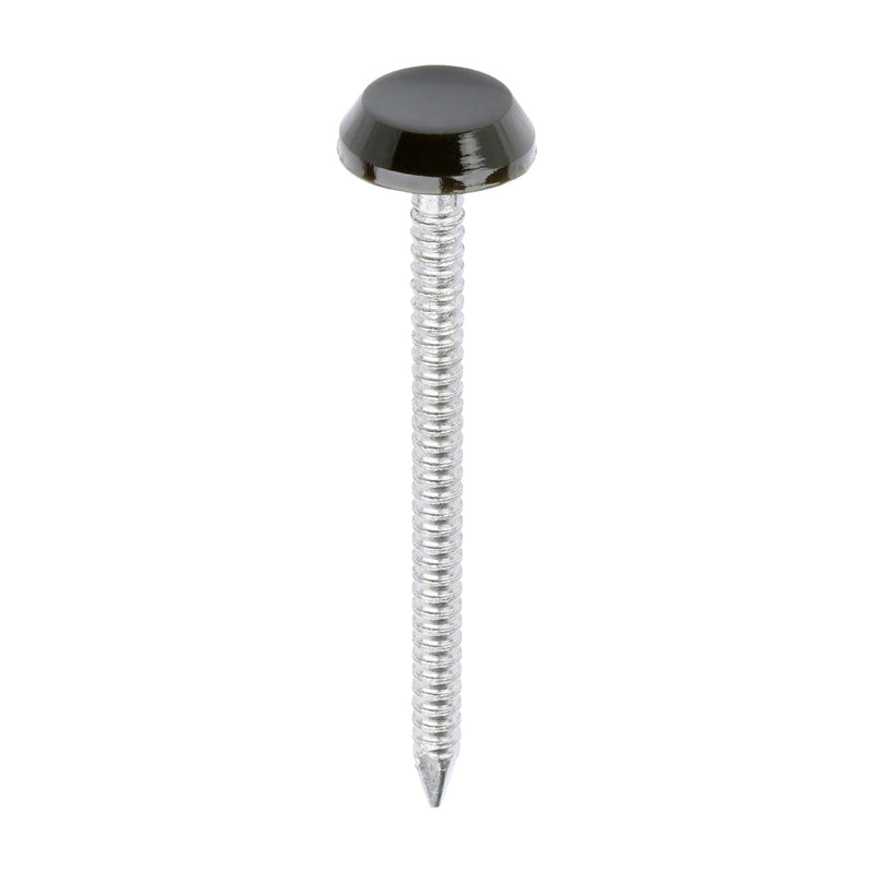 Polymer Headed Nails - A4 Stainless Steel - Mahogany - 50mm
