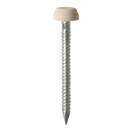 Polymer Headed Pins - A4 Stainless Steel - Beige - 25mm
