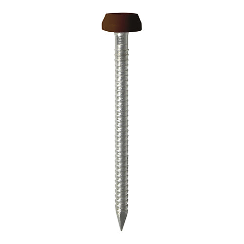 Polymer Headed Pins - A4 Stainless Steel - Mahogany - 25mm