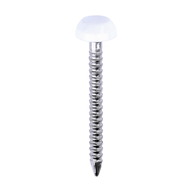 Polymer Headed Pins - A4 Stainless Steel - White - 25mm