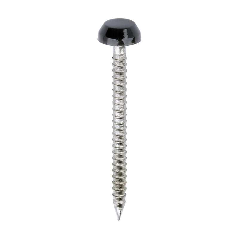 Polymer Headed Pins - A4 Stainless Steel - Anthracite Grey - 30mm