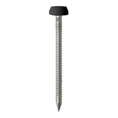 Polymer Headed Pins - Stainless Steel - Black - 30mm