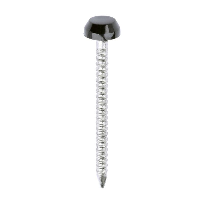 Polymer Headed Pins - A4 Stainless Steel - Black - 30mm