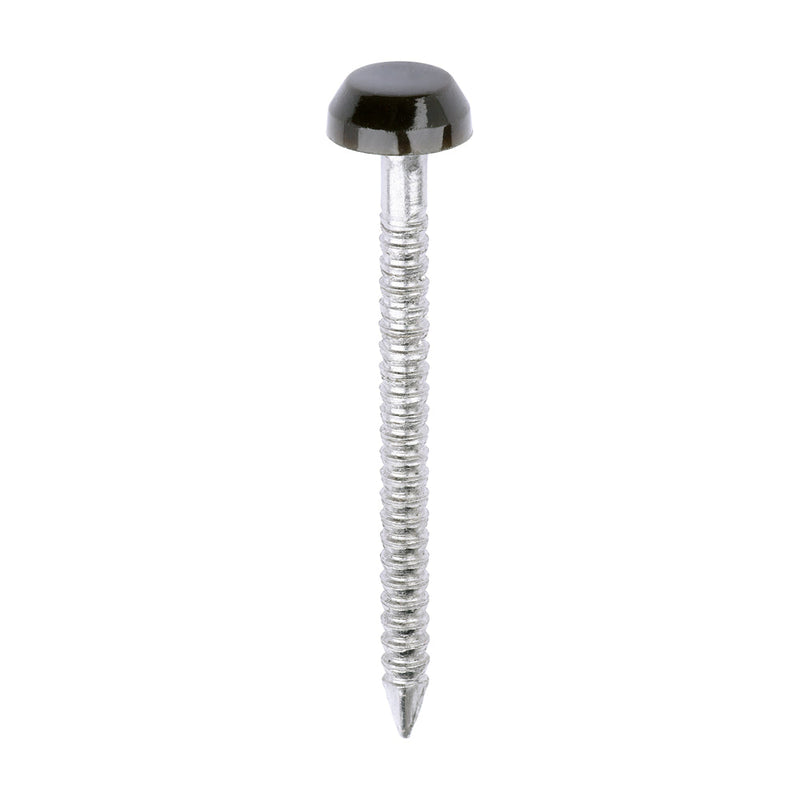 Polymer Headed Pins - A4 Stainless Steel - Mahogany - 30mm