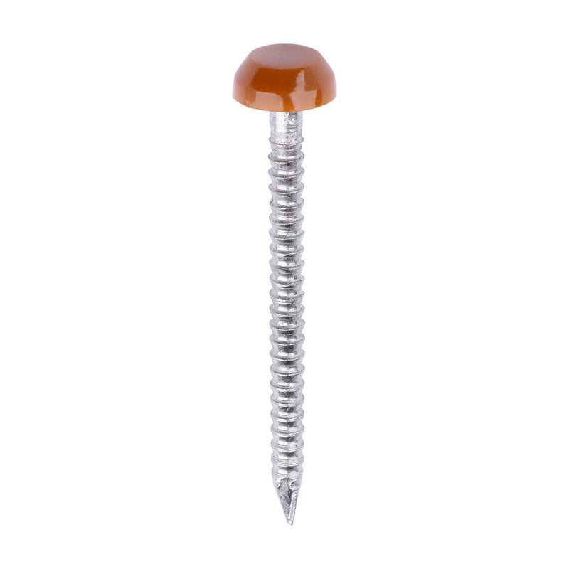 Polymer Headed Pins - A4 Stainless Steel - Clay Brown - 30mm