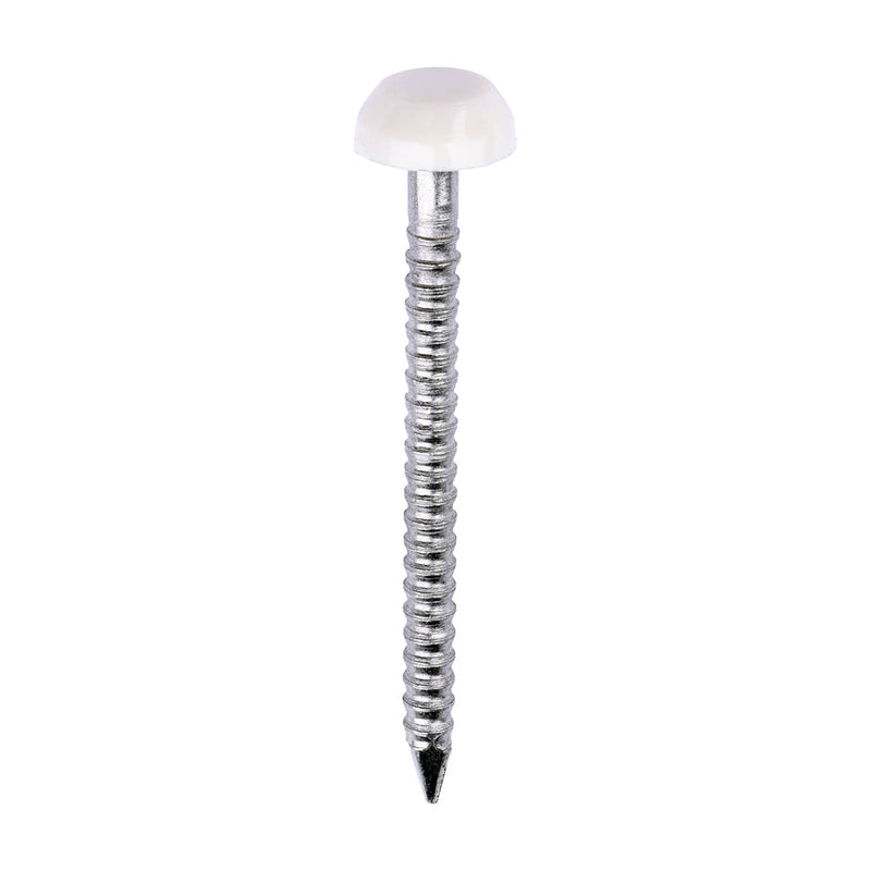 Polymer Headed Pins - A4 Stainless Steel - Cream - 30mm