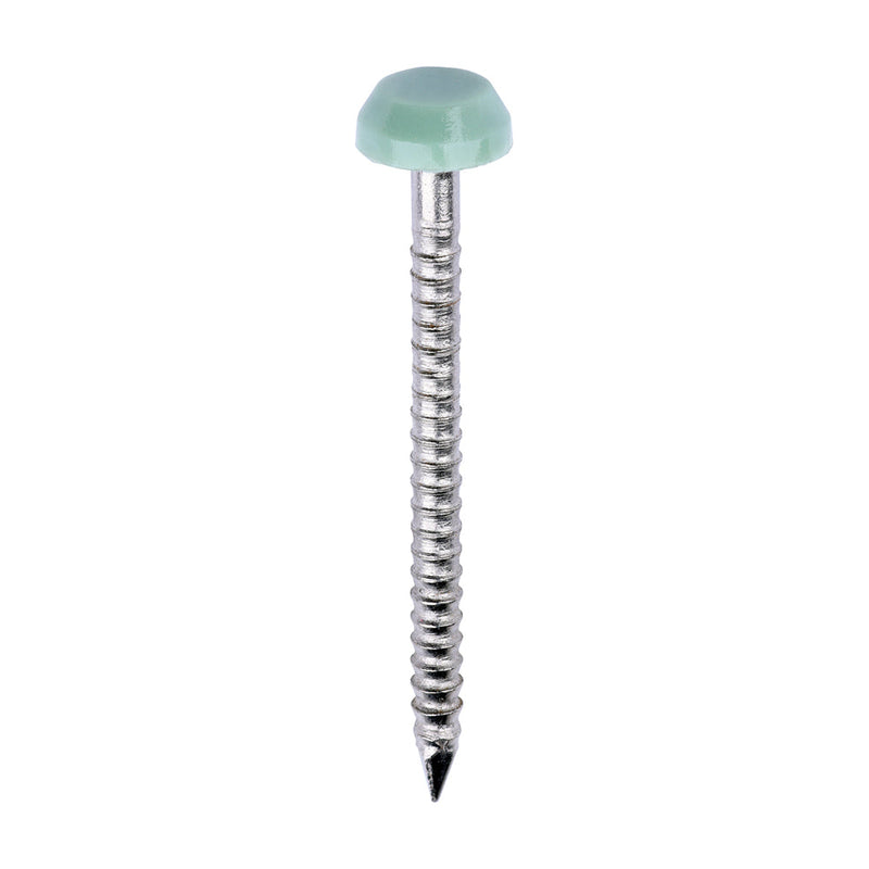 Polymer Headed Pins - A4 Stainless Steel - Chartwell Green - 30mm