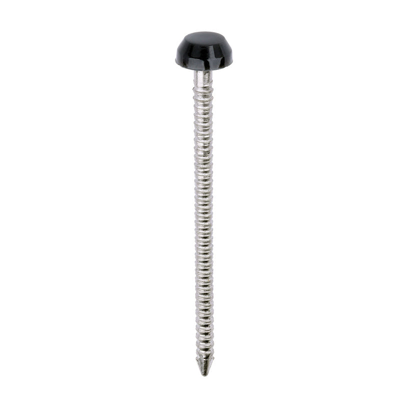 Polymer Headed Pins - A4 Stainless Steel - Anthracite Grey - 40mm