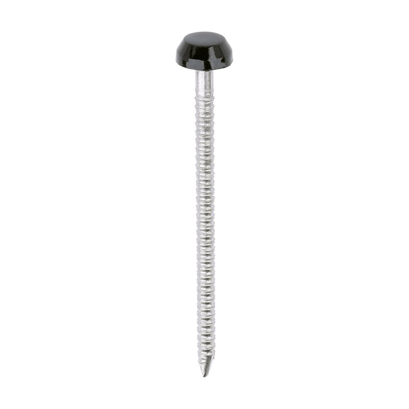 Polymer Headed Pins - A4 Stainless Steel - Black - 40mm