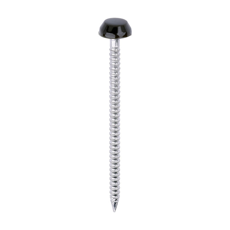 Polymer Headed Pins - A4 Stainless Steel - Mahogany - 40mm