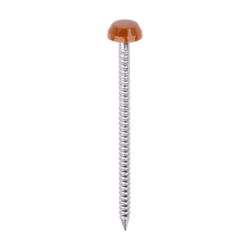 Polymer Headed Pins - A4 Stainless Steel - Clay Brown - 40mm