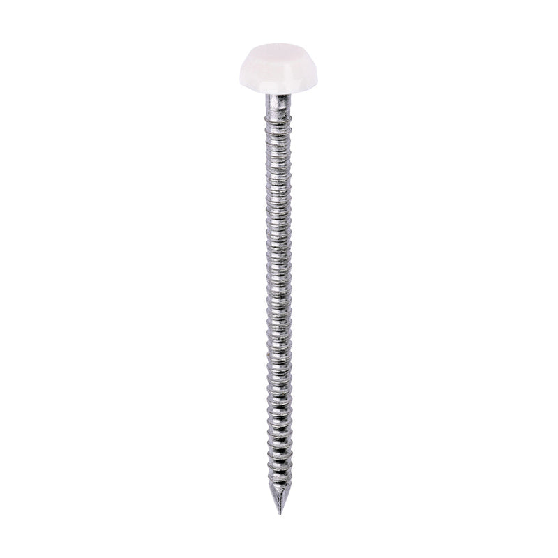 Polymer Headed Pins - A4 Stainless Steel - Cream - 40mm