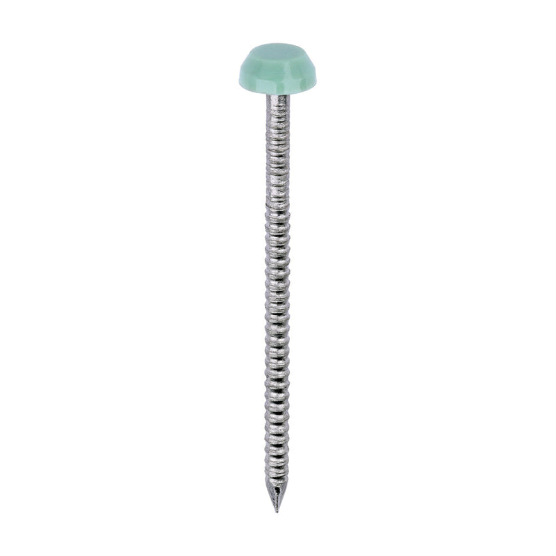 Polymer Headed Pins - A4 Stainless Steel - Chartwell Green - 40mm