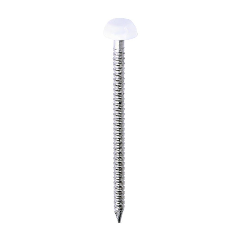 Polymer Headed Pins - A4 Stainless Steel - White - 40mm