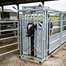 Galvanised Headgate for Livestock Handling
