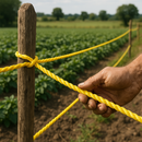 6mm Yellow Polypropylene 3-Strand Rope – Heavy-Duty, Waterproof & UV-Resistant (75m Coil)