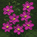 Black Plastic Knitted Bird Netting - 20mm Holes Lightweight UV-Stable Garden Protection