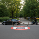 Professional Preformed Thermoplastic Road Marking - No Motor Vehicles Signage for Pathways and Parks