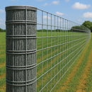 Heavy-Duty Galvanised Welded Wire Mesh – 50mm x 50mm Square Holes | 12 Gauge Wire