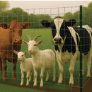 Heavy-Duty Galvanised Welded Wire Mesh – 50mm x 50mm Square Holes | 12 Gauge Wire