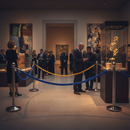 Premium Braided Rope Barriers - Durable, Luxurious Rayon, Multiple Colors & Lengths for Event Management