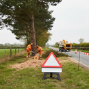 Premium Tree Cutting Supplementary Sign with Flexible Drop Sup Plate for Arborist Safety