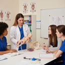 Premium Childbirth Model Set with Life-Size Pelvis, Foetal Doll, and Placenta for Antenatal Education