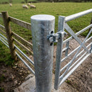 Galvanised Dual Slam Post 4½in for 45in Gates