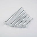 Galvanised Nail - Various Sizes (view 2)