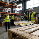 Diamond Coupe Glasses – 160ml – Fine Cut Crystal – Cocktail & Champagne Serving