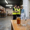 Toughened Hi Ball Glasses – 240ml – Fully Toughened Glass – Commercial Bar & Restaurant Use