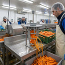 Epoxy Carrot Peeler with Stand – High-Efficiency Blade – Commercial Kitchen Use