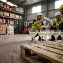 Champagne Coupes – 240ml – Glass | 12 Pack | Commercial – Indoor/Outdoor