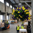 Artificial Pansies Ball – 22" – Durable Fabric | Lightweight | Indoor/Outdoor