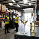 White Wine Glasses – 190ml/6.75oz LCE@125ml – Lead-Free Glass, Durable – Fine Dining & Commercial Use
