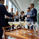 Champagne Saucer Glasses – 220ml/7.5oz – Lead-Free Sparkx Glass – Commercial Use (24 Pack)