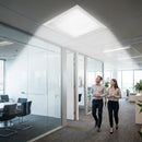 Glass Door – Clear – Tempered Glass | 10mm Thickness | Commercial Grade – Indoor