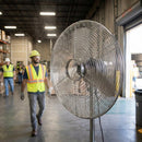 Safety Guard – Heavy Duty Steel | 3mm Thickness | 500kg Load Capacity | Industrial – Warehouse