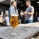 Stemmed Beer Glasses – 370ml – Glass | 6 Pack – Indoor/Outdoor