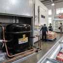 Polar Compressor – 240V – Industrial Grade | 50L Capacity | Oil-Free – Commercial Use