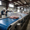 Meat Press Assembly – Stainless Steel – Durable Construction – Commercial Use