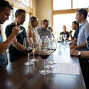Wine Taster Glasses – 200ml – Machine-Made Glass, Dishwasher Safe – Tasting Events & Hospitality