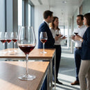 Wine Glasses – 490ml/17.25oz – Ultra-Clear Lead-Free Crystal – Professional Tasting & Serving